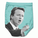 cameron-overview.gif