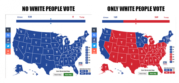 white_non-white-vote