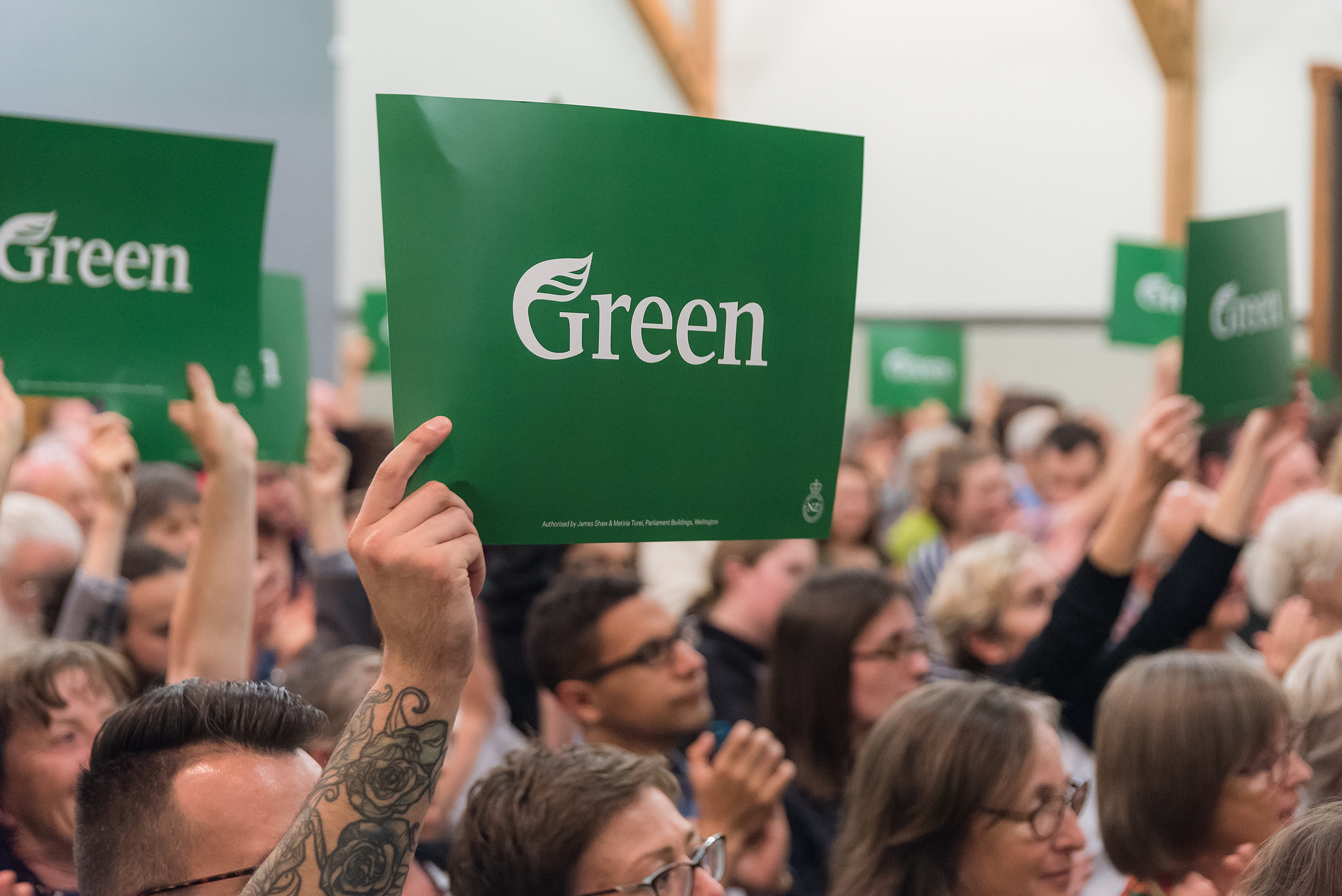 The Greens. Do We Need ’em?